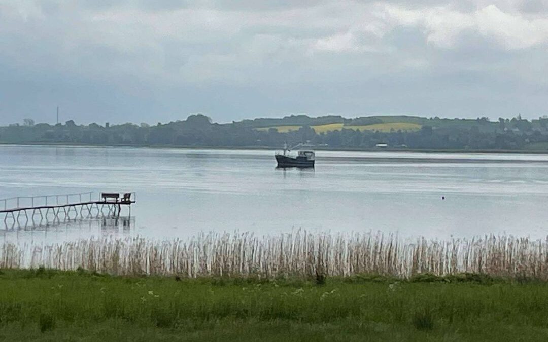 Hvad er muslingeskrab?