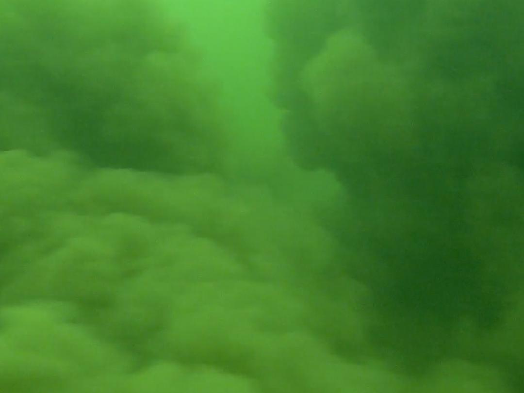 Ophvirvlet bundsediment efter muslingeskraber