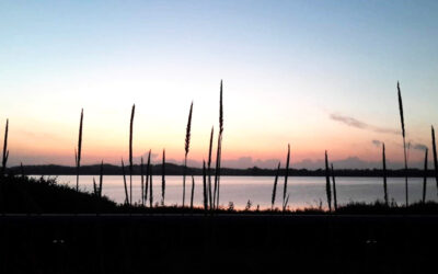 Genoplivningsplan for Isefjorden