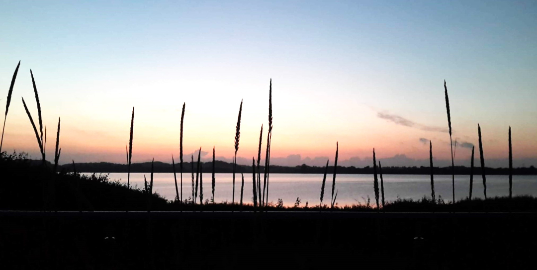 Genoplivningsplan for Isefjorden