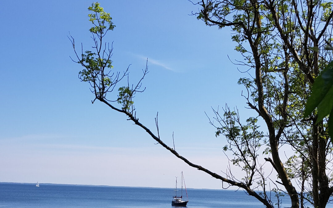 Historisk lokal opbakning til Redningsplan for Isefjord – over 90 kommunale kandidater bakker op