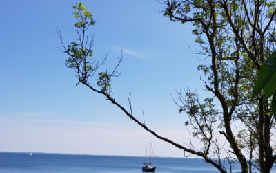 Historisk lokal opbakning til Redningsplan for Isefjord – over 90 kommunale kandidater bakker op