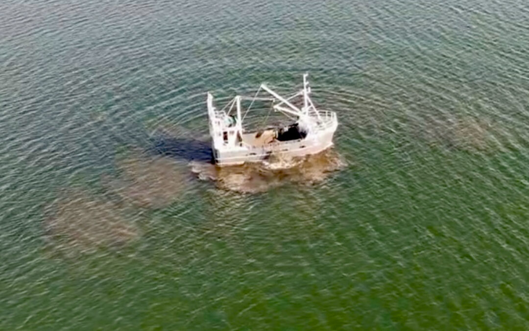 Fakta om muslingeskrab i Isefjord